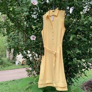 The Limited: sleeveless midi dress